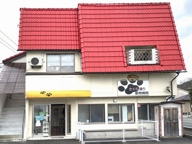 雲南市さくら通り動物病院外観