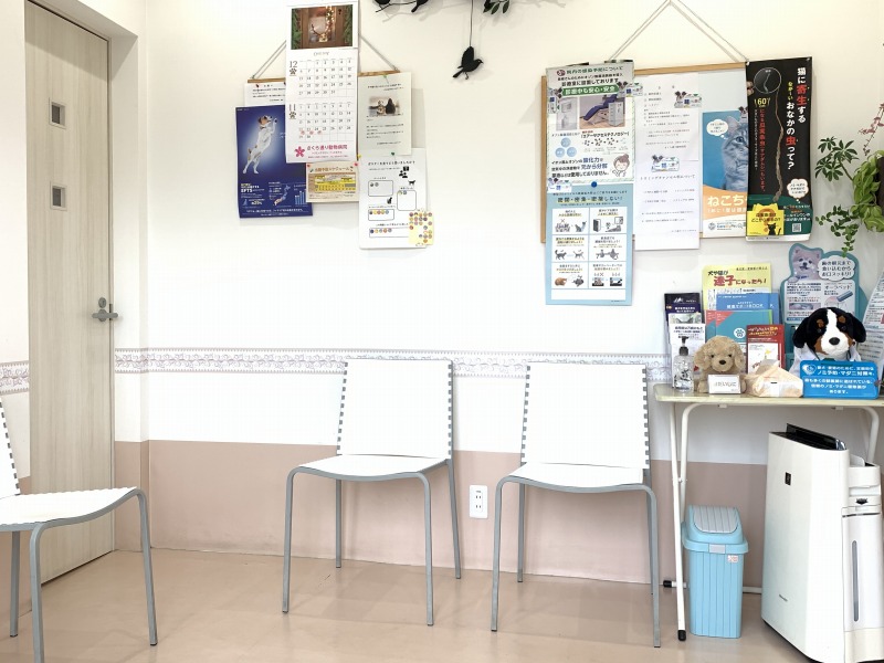 雲南市さくら通り動物病院案内