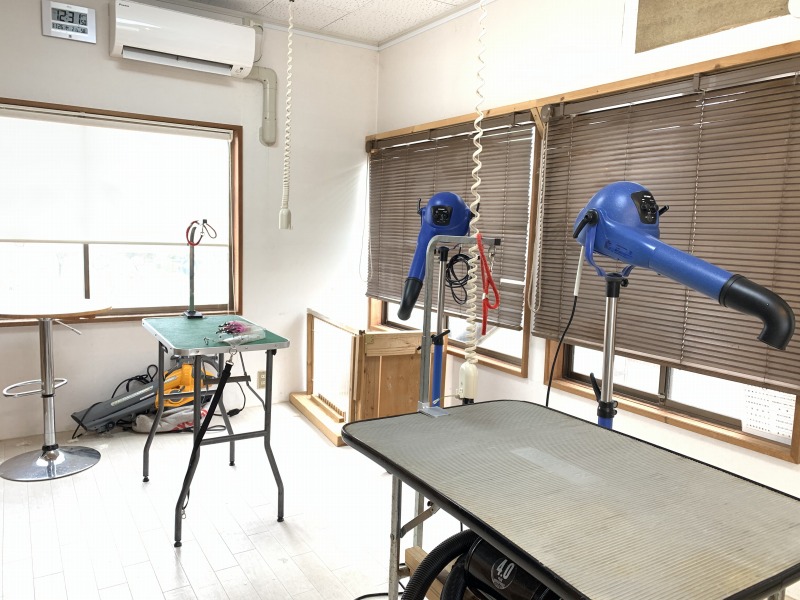 雲南市さくら通り動物病院トリミング